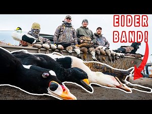 SEA DUCK HUNTING | Layout Boat Duck Hunt