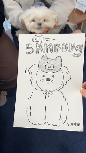 I can draw it like this for you with just one photo of your puppy.
