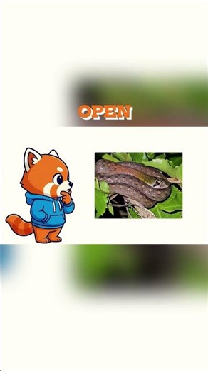 4 Shocking Snake Facts That Will Change How You See Snakes Part 1