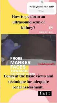 How to perform an ultrasound of kidney? Basic approach by radiologist
