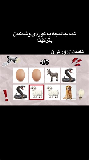 چاڵنجی وشەکان بە کوردی بترکێنە