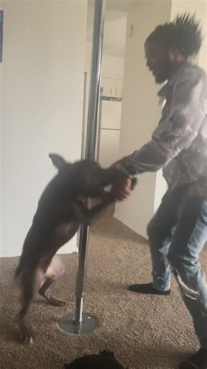 Wavy on Instagram: "A joyful Christmas with his dawg🍾🤣🎄"