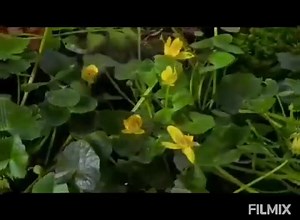 38 reactions · 24 shares | RAMADAN DUA DAY 26 O Allah, on this day, make my efforts worthy of appreciation, and my sins forgiven, my deeds accepted, my flaws concealed, O the best of those who hear. | Kashmir Press News | Facebook