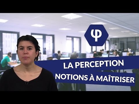 La perception : les notions à maîtriser - Philosophie - digiSchool