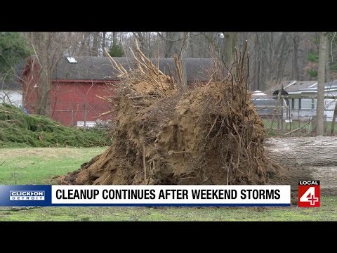 Strong storms leave trail of damage across Metro Detroit — cleanup could take weeks