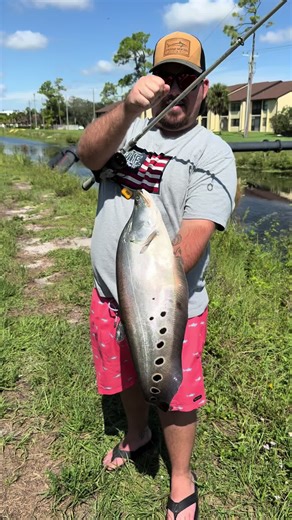Exotic clown knife fish 🔪🐟 | clown knifefish