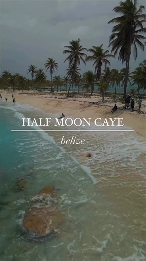 Dive Deep into Belize – Snorkel, Dive, Kayak, and More! Your Ultimate Vacation Starts Here. ‍♀️ | Island Expeditions | Facebook