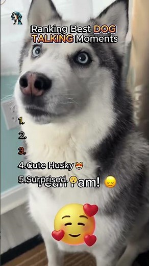 Ranking Best DOG TALKING Moments !