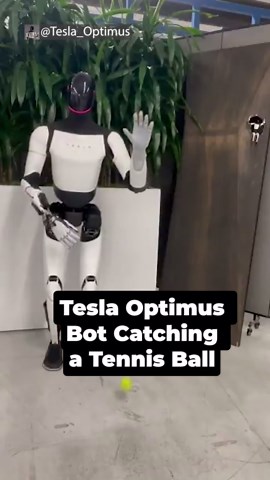 Tesla Optimus Bot Catching a Tennis Ball
