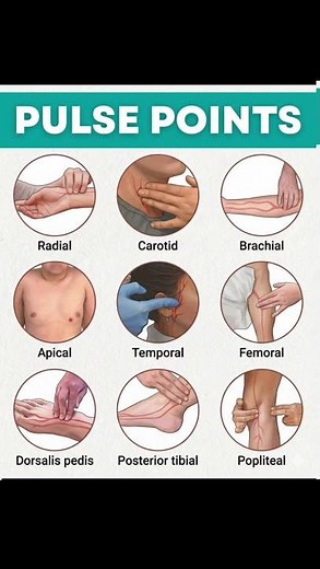 How to check pulse rate 🤫
