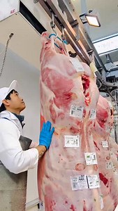 "In a person's life, true strength isn't measured by how many times you rise, but by how you embrace each defeat and keep fighting." #butchersaitaly #dissosatore #samahanngmgabutcher #kabuono #follower #hardwork #OFW #strength #butcher #ChristIsTheAnswer #lifelessons #lifequotes #life #pinoy #pinoyabroad | Webster David