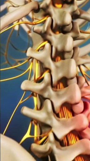How Long does it take for a Lower Back Strain to Heal?