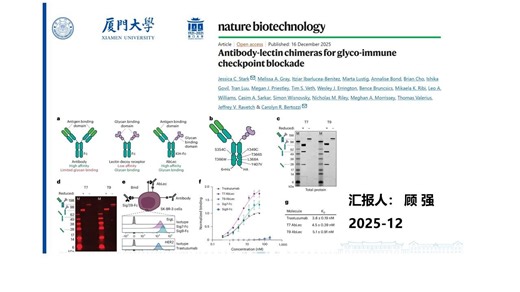 文献汇报-2025.12-顾强