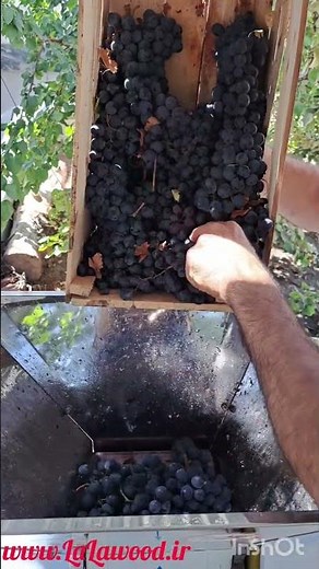 Grape Crusher Destemmer (Lalawood)