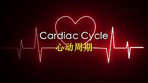 ♫ "Cardiac Cycle" - 心动周期 (Biology)