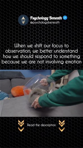 The Pause That Changes How You React