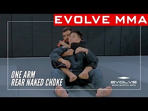 BJJ | One Arm Rear Naked Choke