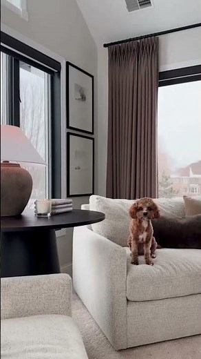 Wayfair’s Best Sunroom Decor Ideas for a Cozy Look!