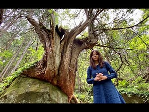 どうぶつに人生相談！谷岡恵里子【動物と話す方法】🐕🐱🦓🦜