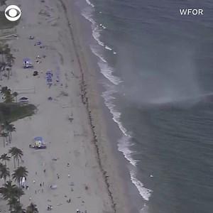 A water spout made its way onshore at Hollywood Beach, Florida, causing beachgoers to run away and scramble. | CBS News