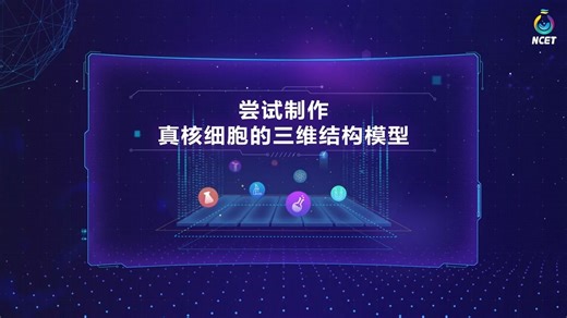 5-尝试制作真核细胞的三维结构模型