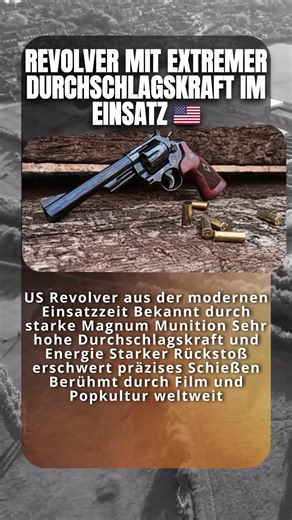 Model 29 Einsatz 🇺🇲