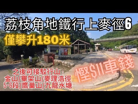 【超前部署加操系列】慳得一蚊得一蚊｜荔枝角站站行上石梨貝水塘｜加操系列｜攀升僅180m｜陰暗位多｜詳細路況