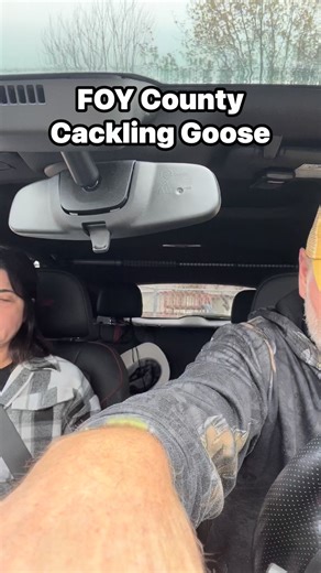 Mathew G. Radford on Instagram: "FOY Cackling Goose #birdwatching #birds #birdsandcoffee #ecology #conservation #birding #citizenscience #nativeplants #mothing"