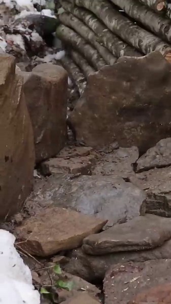 Ultimate Solo Bushcraft: Tarp Setup & Fire Skills Mastery in the Wild