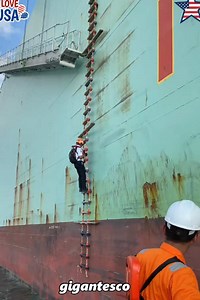 Mysterious Door on Giant Ships: What Is It?