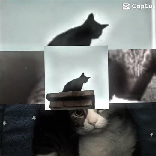 @Rodia_Pimi #yosoydelos7mil #xd