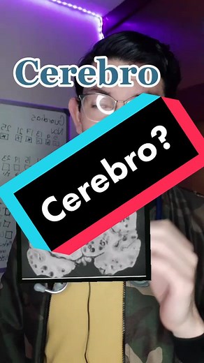 Cerebro: ¿Cómo se ve y qué causa la neurocisticercosis?