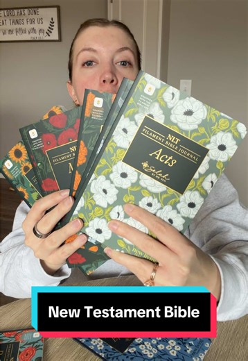 Gorgeous New Testament Bible Journals for Reflection