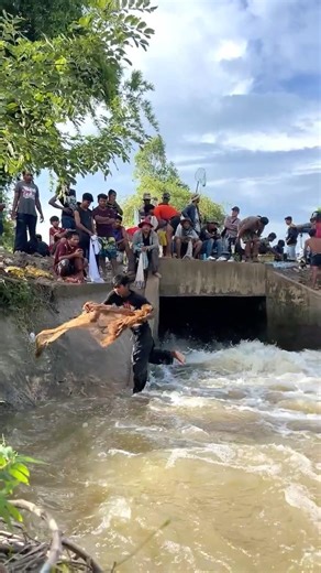 Real Life 100% Cast Net Fishing In River At The Countryside (Part 1331) #fishing #fish #new