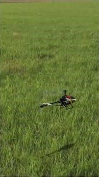 RealFlight Evolution Heli-Max Axe 400 3D 4k60 fps