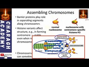 Assembling Chromosome/Genome Assembly - an overview