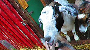 9.5K views · 278 reactions | Oh hey, do you notice what's different?...