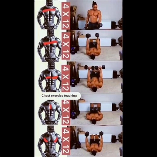 🔥 4 EXOS HALTÈRES POUR PECTORAUX MASSIFS — 4×12 (Résultats RAPIDES !) 💪🏽🔥