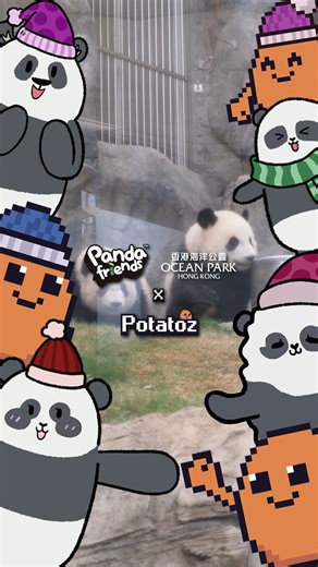 9GAG: Go Fun The World on Instagram: "🥔🐼Potatoz x Panda Friends at Ocean Park Hong Kong✨ 9GAG's beloved mascot Potatoz has arrived at the "Giant Panda Adventure" at Ocean Park Hong Kong! @hkoceanpark Come take photos with the funny Potatoz and the irresistibly cute Panda Friends at the season-exclusive Winter Photo Spot 📸✨💖 Plan your visit now! 🗓️ Today - 7 Jan 2026 📍Winter Photo Spot, located at "Giant Panda Adventure", Ocean Park Hong Kong 🥔🐼Potatoz x Panda Friends @ 香港海洋公園✨ 9GAG 首個原創 