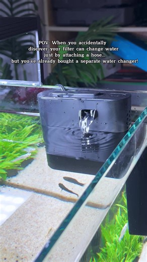 Discovering the Power of Aquarium Filters for Water Changes