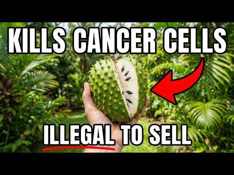 This Fruit Has 100x More Antioxidants Than Blueberries. FDA Made Selling It ILLEGAL In 2008