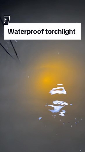 Smiling Shark Waterproof Torchlight for Bright and Fun Adventures