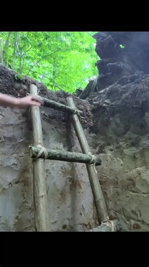 Surviving the Jungle Camping #shelter #survivalskills #bushcraft #outdoorlife #camping