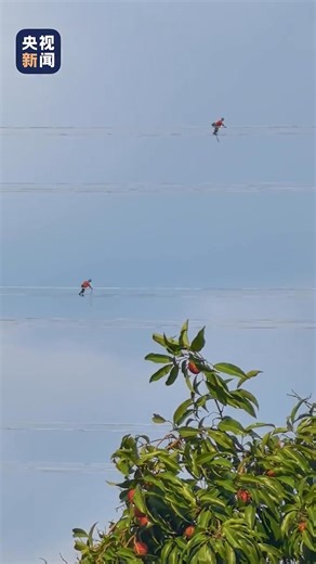 Salute to the "aerial acrobats" working under high temperatures. (Video via 你耳机里听的是什么歌) | Beijing Daily