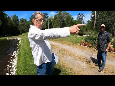 Cedarbrook Trout Farm: Great Lakes Aquaculture Tours 2021