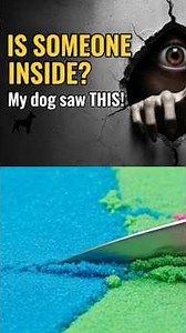 Is Someone Living Inside My Walls?😳💀 #mystery #shorts