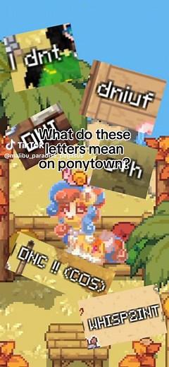 Beginner's Guide to Ponytown: Understanding Common Terms