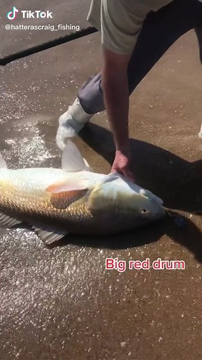 Hatteras Craig on TikTok