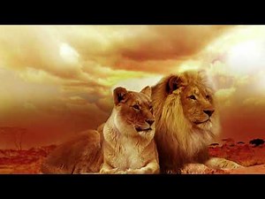 [FREE] Afro Lingala Beat | Instrumental 2021 | Prod.Beat Ocean #Instrumentals