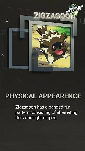 Zigzagoon: The Zigzag Pokémon with Two Wild Forms! 🦝⚡ | Animated Warriors EN